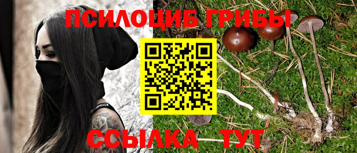 Галлюциногенные грибы прущие грибы  Вход с VPN  Чистополь  Галлюциногенные грибы Cubensis 