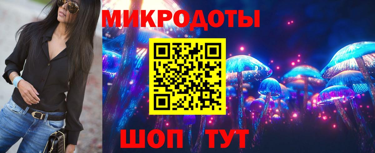 Галлюциногенные грибы Psilocybine cubensis Чистополь